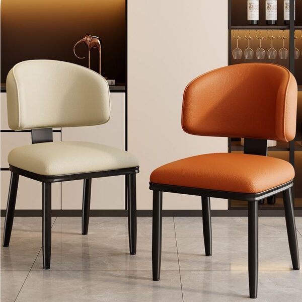 Luxury Nordic dining chairs set